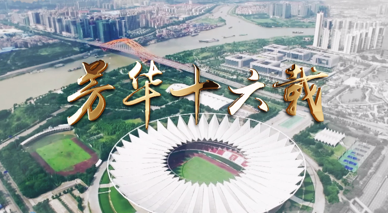 《新城開發(fā)紀(jì)錄片-芳華十六載》